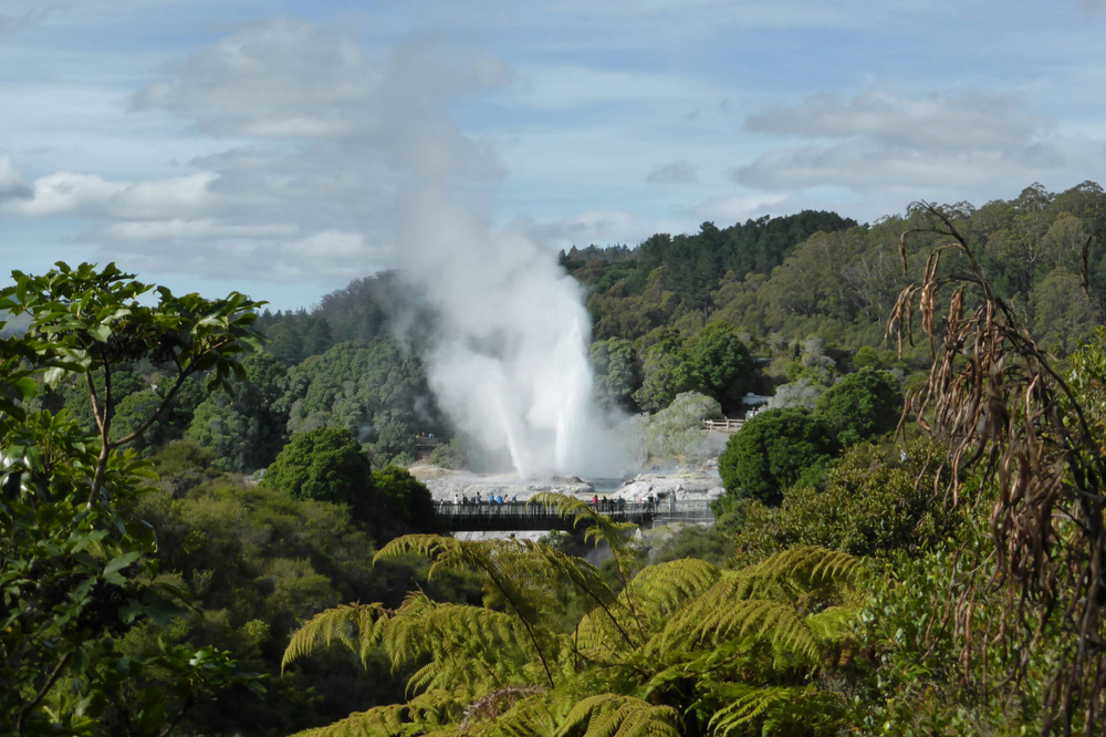 Aotearoa - die zweite Woche