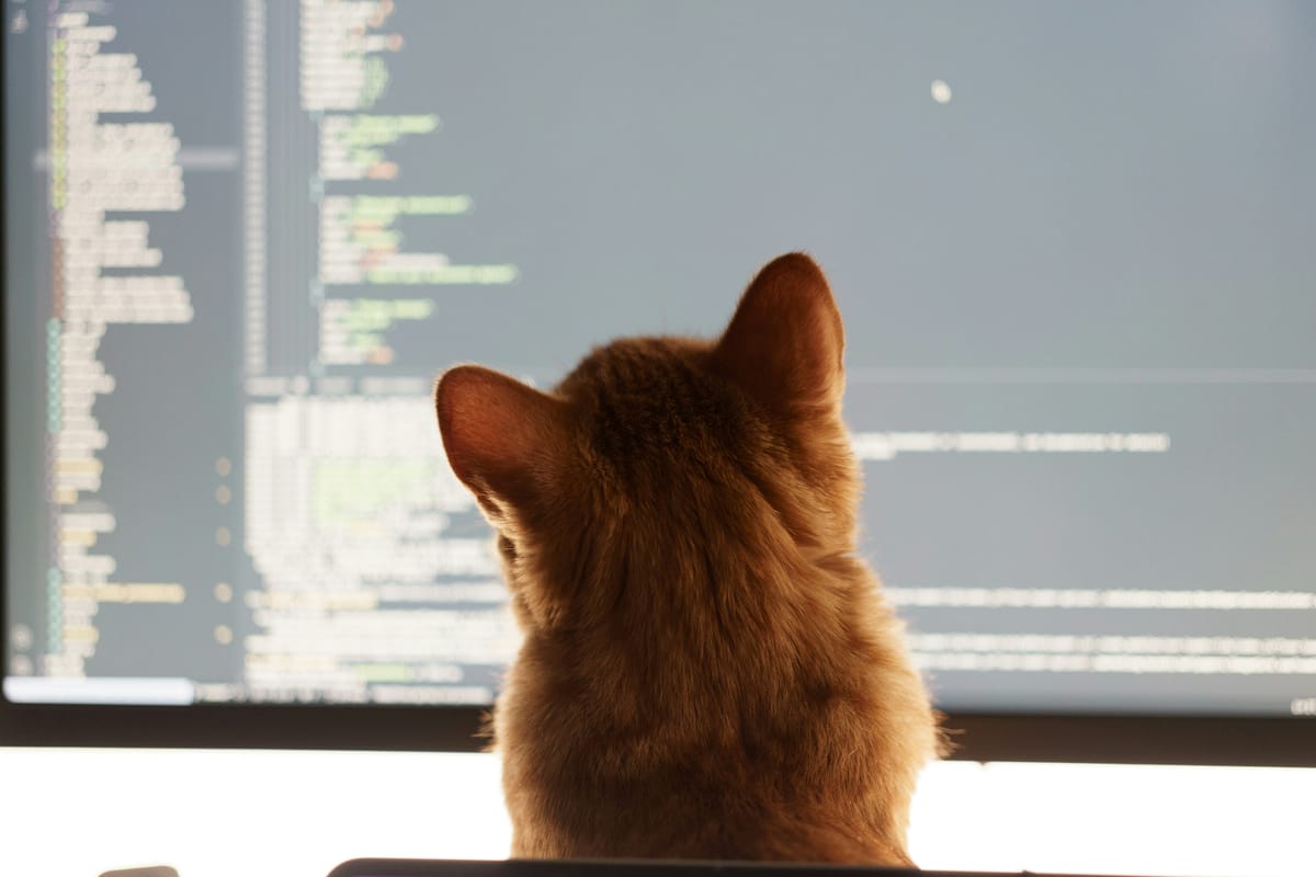 Eine KI Vibe Coding Horrorgeschichte